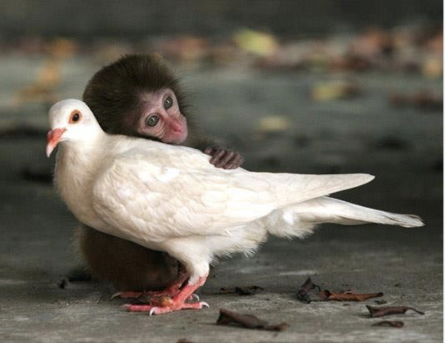 WTHIH? March 2024. Fed Agenda & Valuation