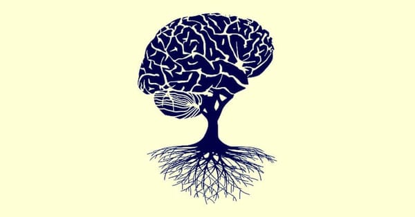 Investing with a conservative mindset