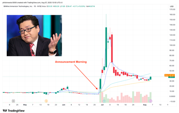Ethereum Treasury Companies